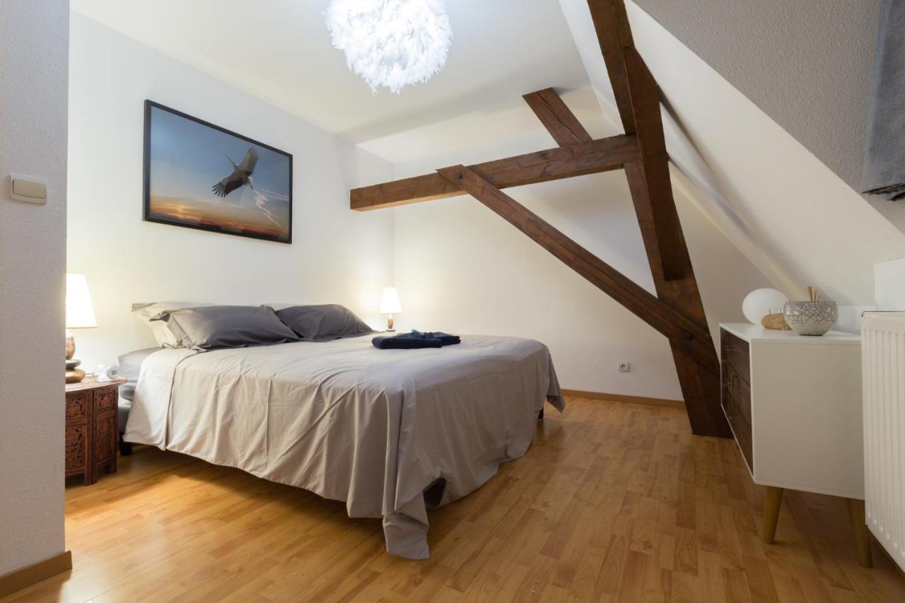 Au Cocon Des Cigognes Apartment Sigolsheim Bagian luar foto